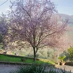 Vakantiehuis Antico Podere Sant'anna *