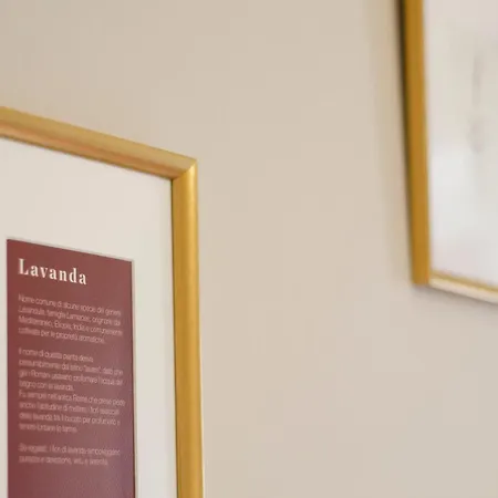 Antico Podere Sant'anna Tatil Evi