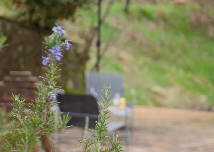 Tatil Evi Antico Podere Sant'anna