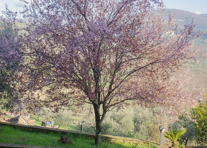 Tatil Evi Antico Podere Sant'anna *