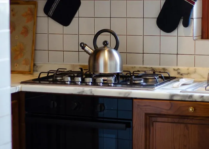 Antico Podere Sant'anna Tatil Evi