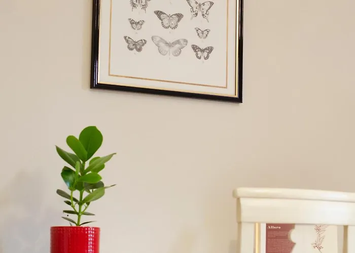 Tatil Evi Antico Podere Sant'anna *