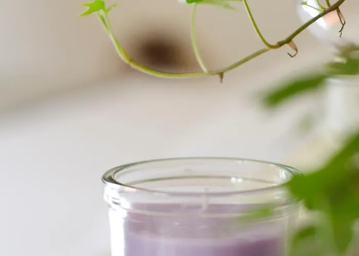 Tatil Evi Antico Podere Sant'anna Pistoia