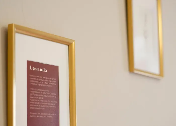 Antico Podere Sant'anna Tatil Evi