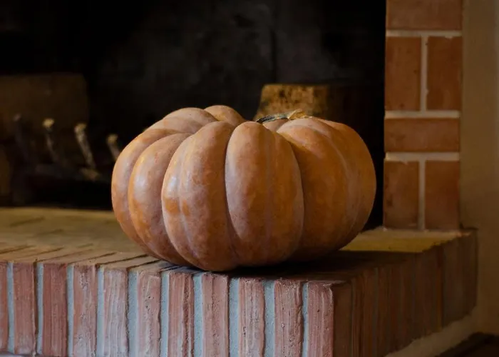 Tatil Evi Antico Podere Sant'anna Pistoia